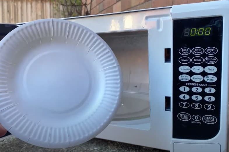 Can You Microwave Paper Plates? Is It Safe? - HowChimp