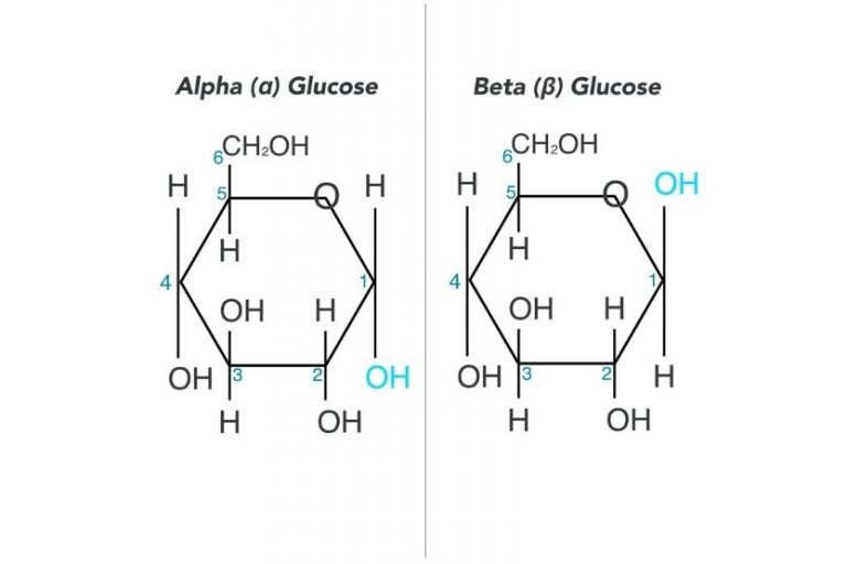 Alpha Vs Beta Glucose: Differences And Similarities - Howchimp