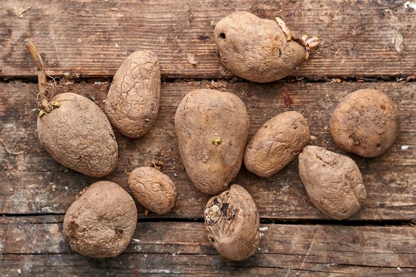 moldy potatoes safe to eat