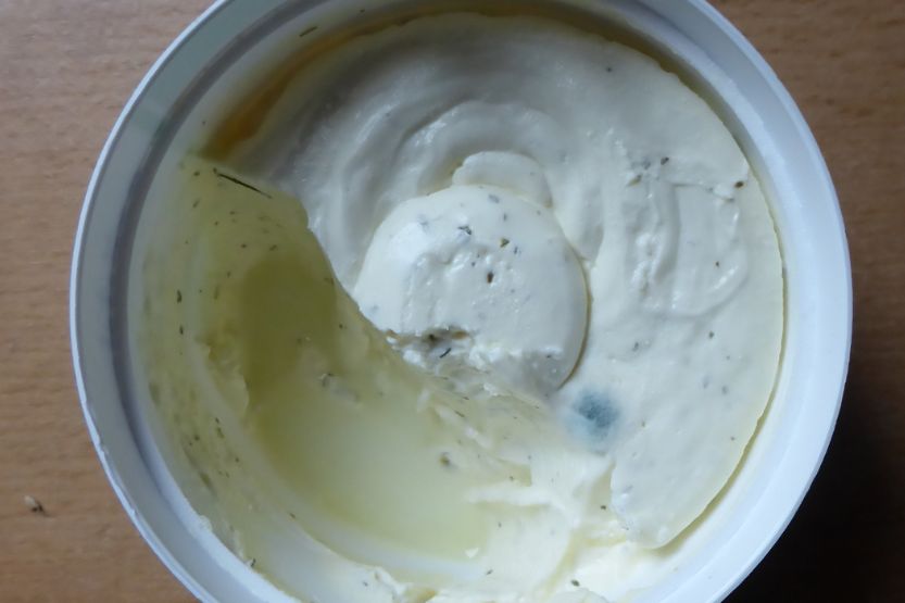 Mold On Cream Cheese 