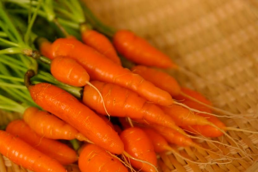 How Long to Boil and Steam Baby Carrots
